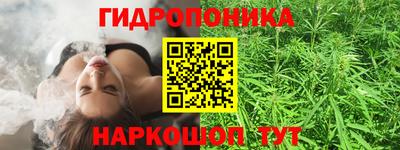 PSILOCYBIN Кимры