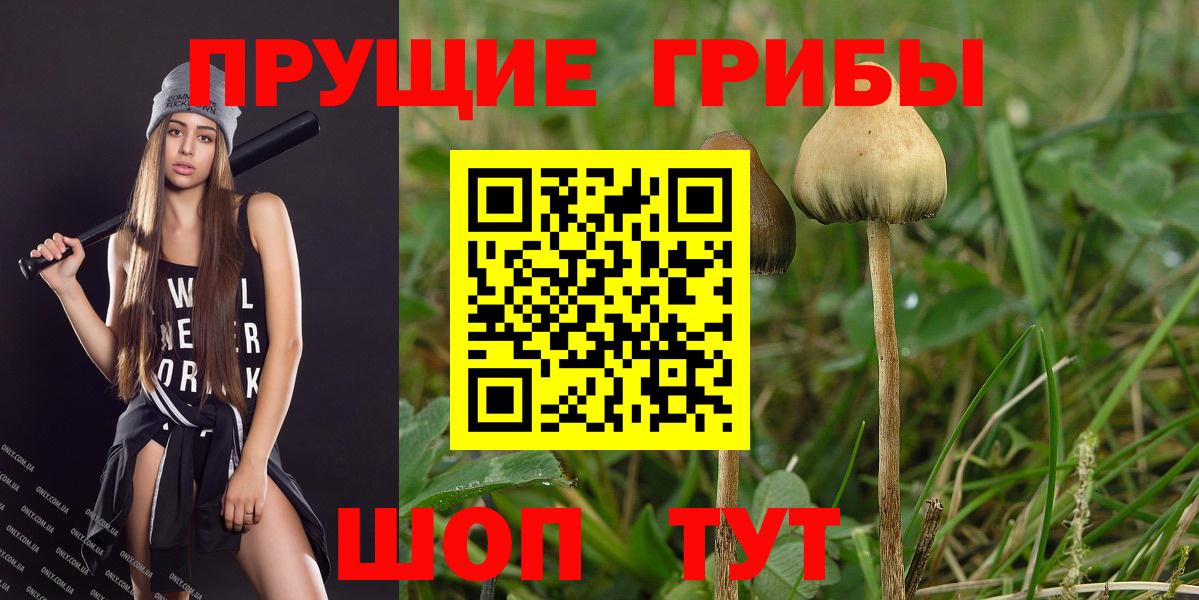 Киреевск  Псилоцибиновые грибы мицелий  Вход с VPN 